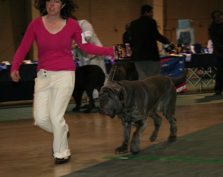 2010-Nationals-18