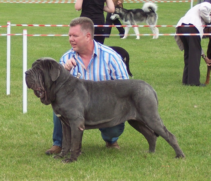 Copy of 12 07 2008 068