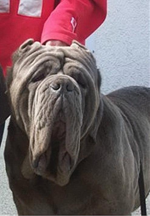 pancho0001