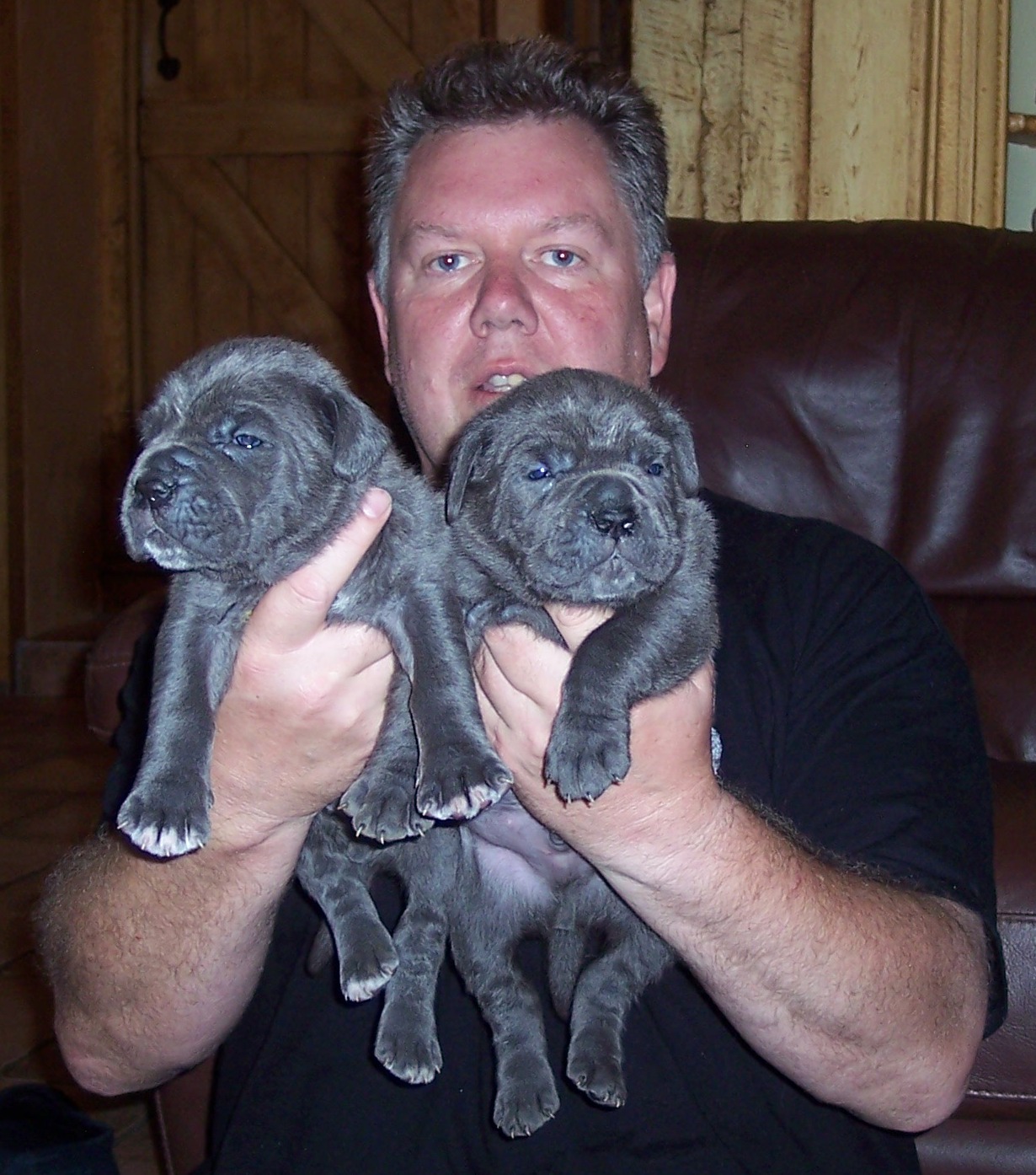 Copy of Hartu and Circe pups 02 07 2008 087