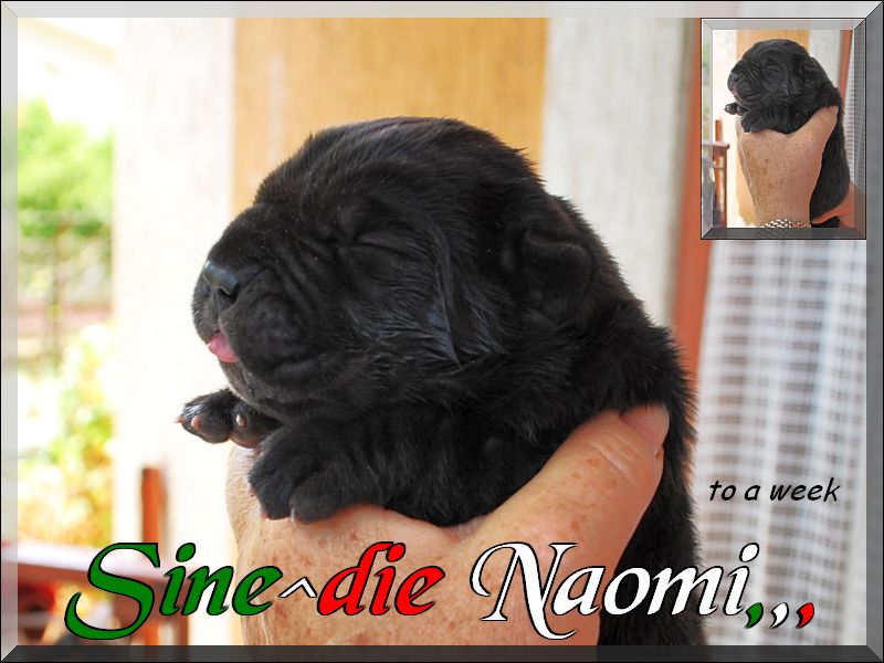 Sine^die Naomi,,, to a veek