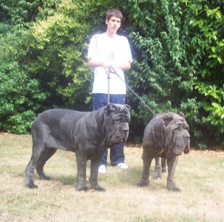 Dogs 29 07 2006.aa 111