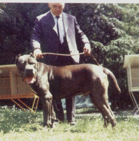 ovidio0