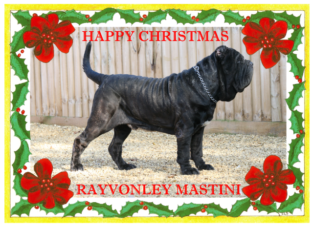 Copy of CHRISTMAS CARD 2008