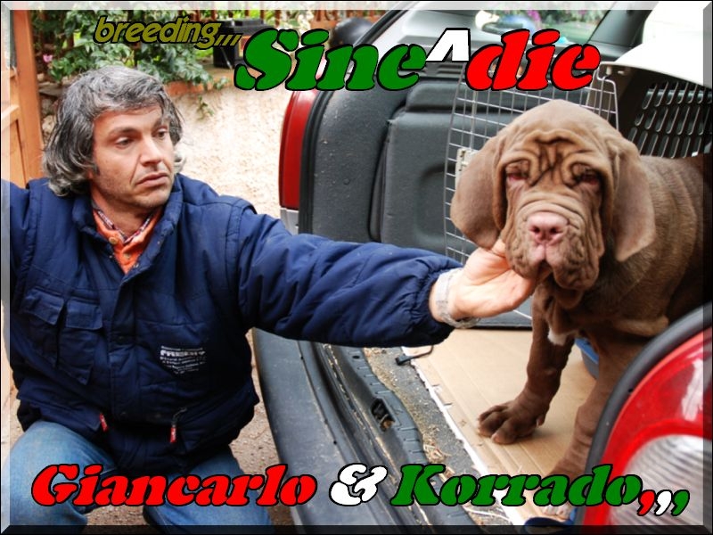 Korrado & Giancarlo