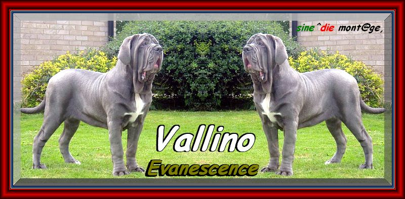 Vallino Evanescenze,,, sine^die mont@ge,,,