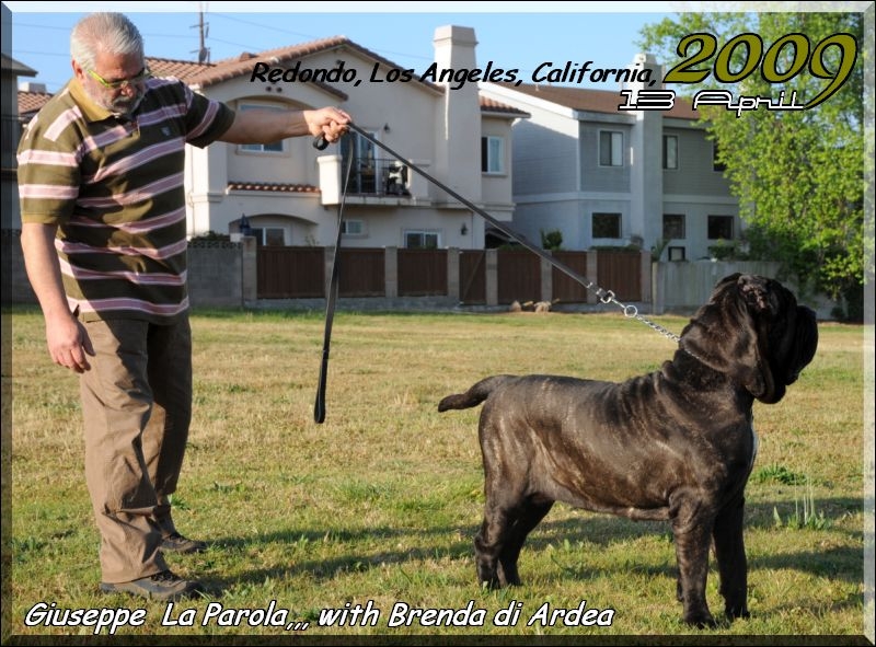 Lax Brenda di Ardea with Giuseppe La Parola