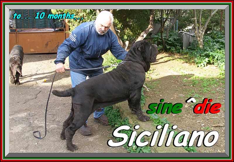 Siciliano a 10 mesi