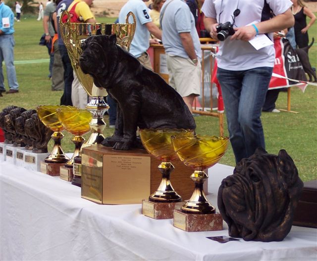 ATIMANA 2006 trophies
