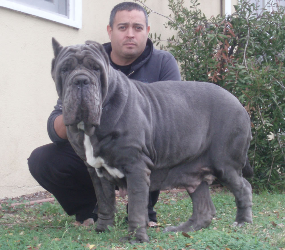 titi1