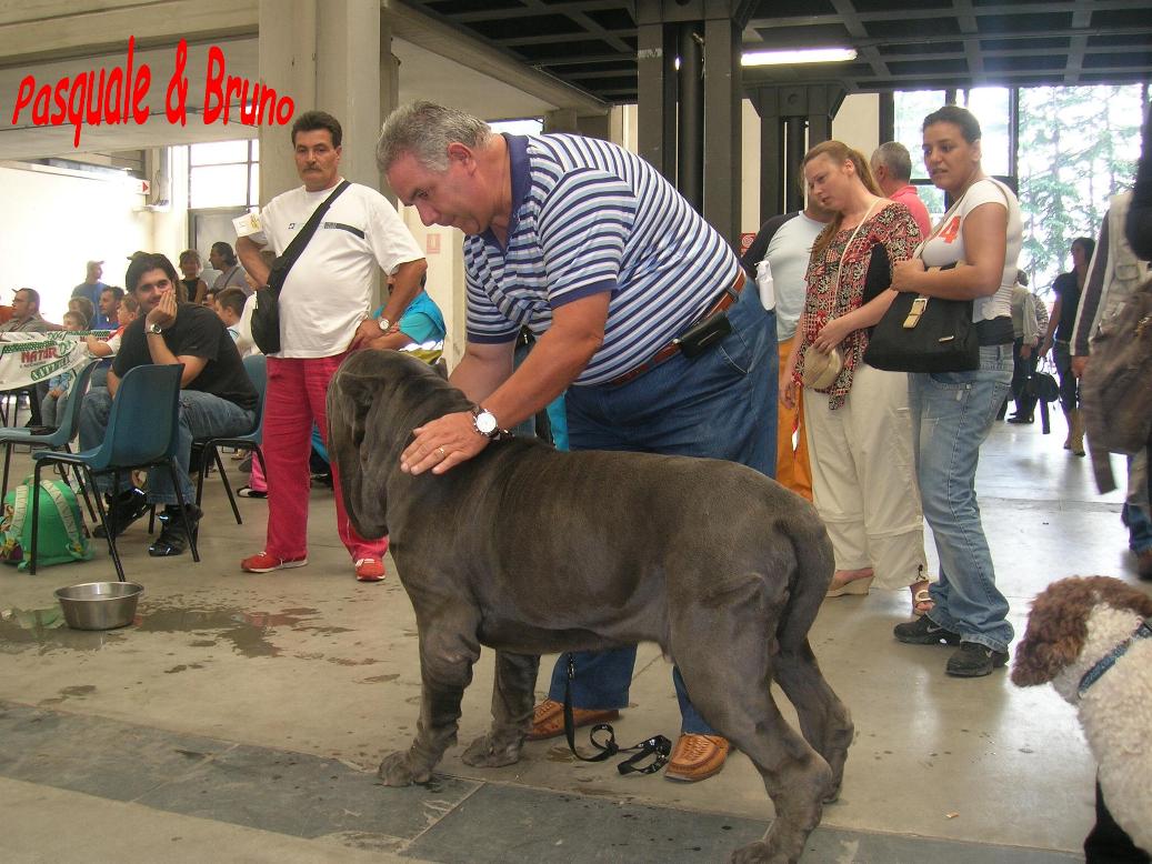 Pasquale e bruno al tmq - 6