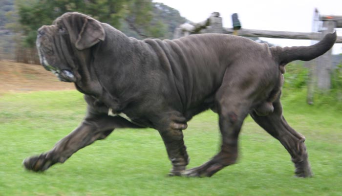 IMG_3950s
