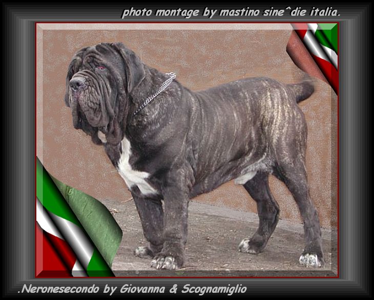 Neronesecondo by Giovanna & Scognomiglio