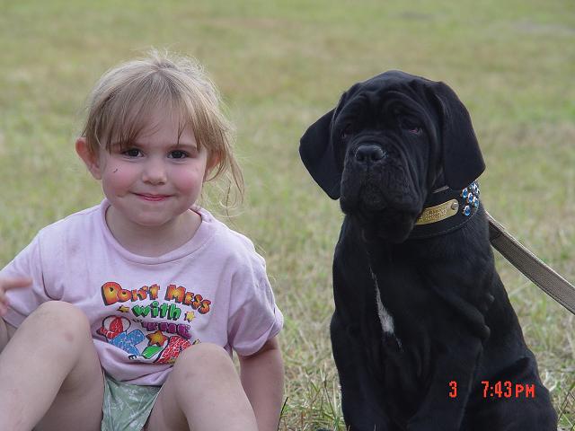 DK9PSA05 034
