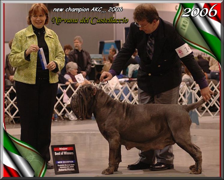 Nirvana del Castellaccio,,, new ch. Akc 2006