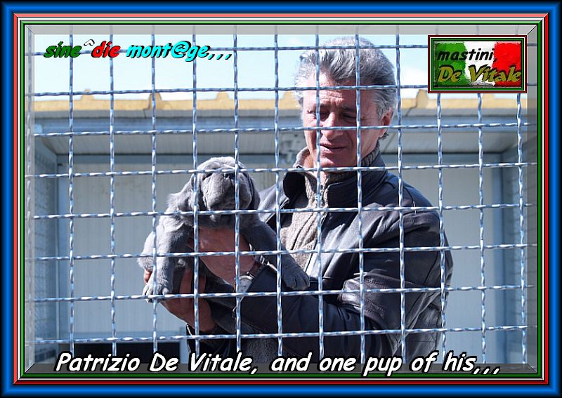 Patrizio De Vitale,,,