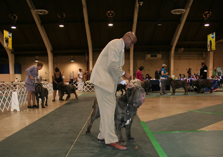 2010-Nationals-35