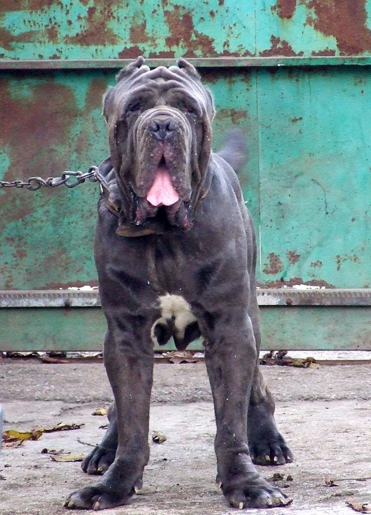 2006_1029Abi01550001