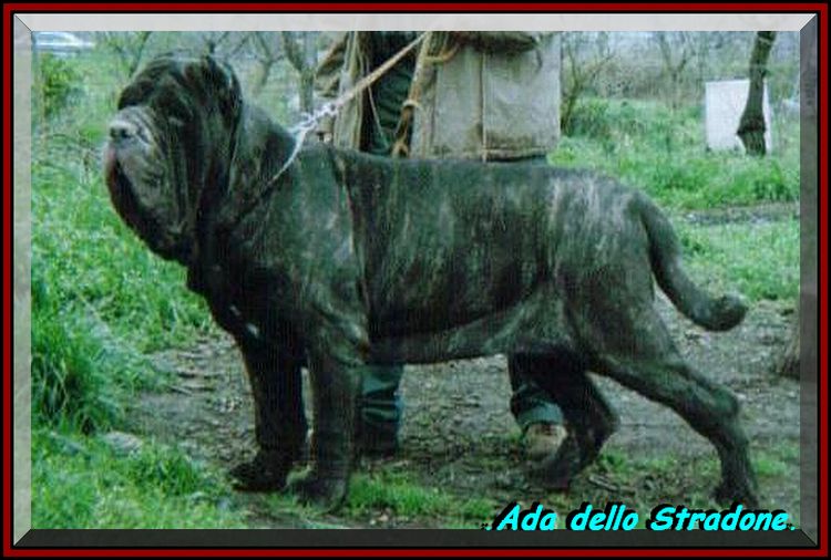 Ada dello Stradone. 002 jpg