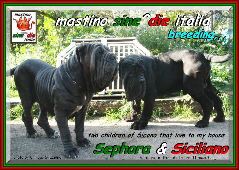 2007 sine^die visto da Enrique Graziano nella foto Sephora & Siciliano by sine^die daughter of Sicano