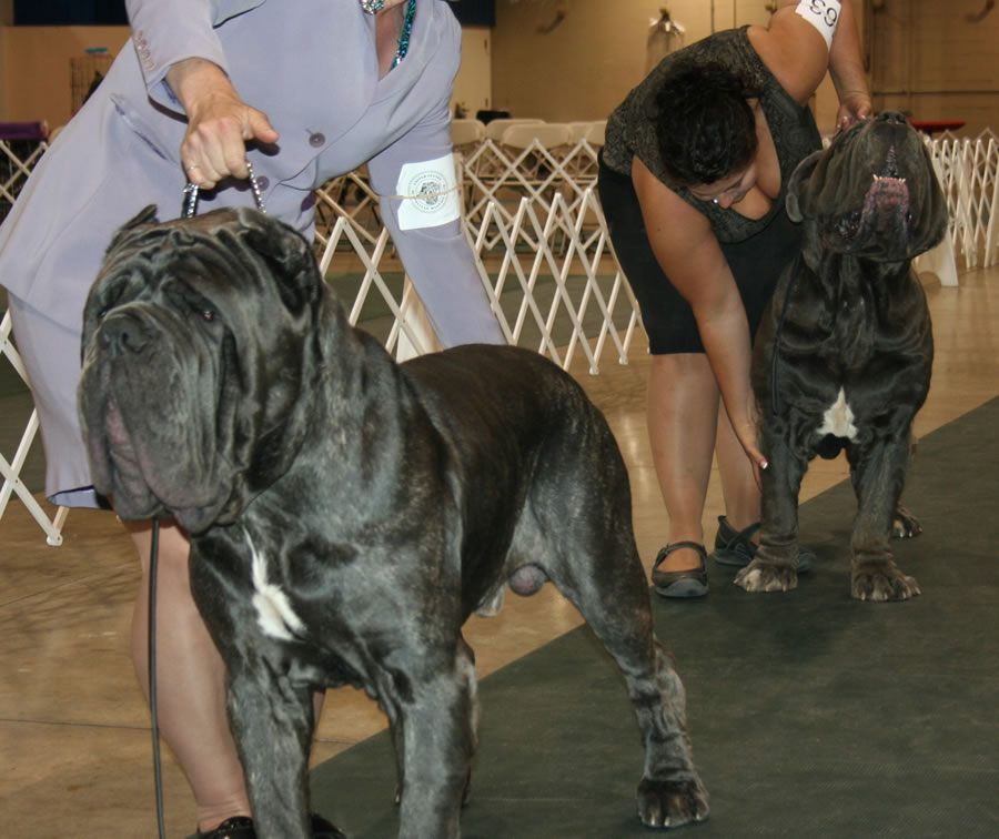 2010-Nationals-26