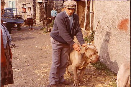 vittorio