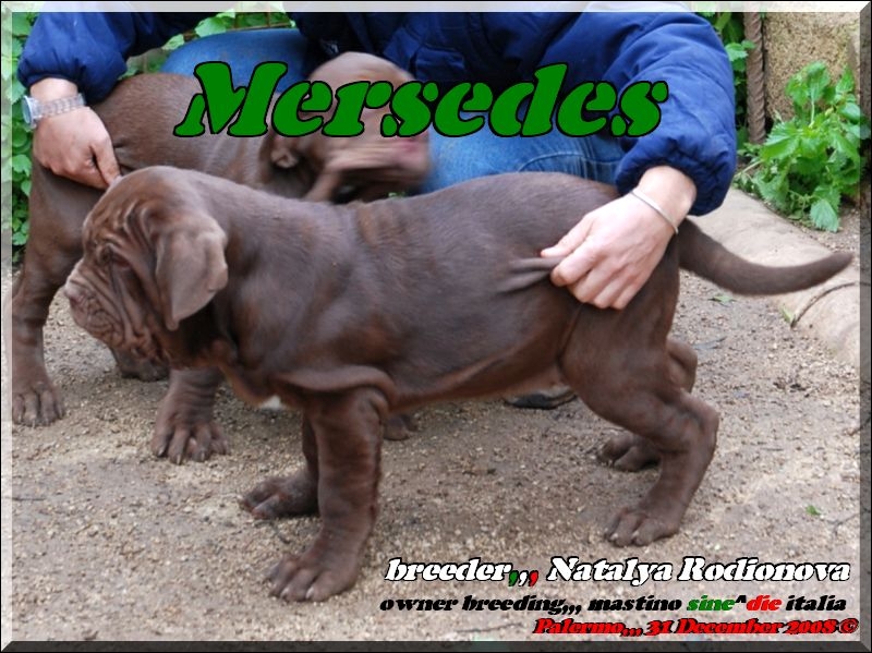 Mersedes,,