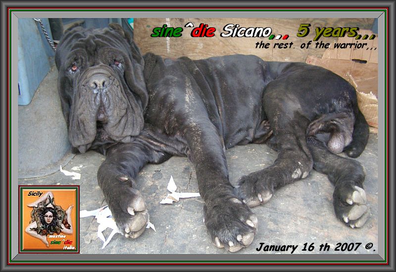 sine^die Sicano ,,, January 16 th 2007,,,
