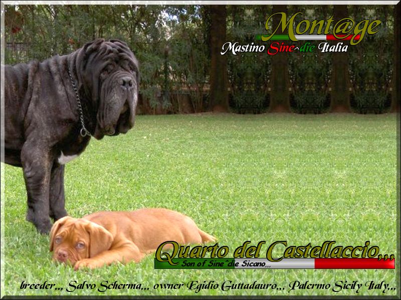 Quarto del Castellaccio,,,
