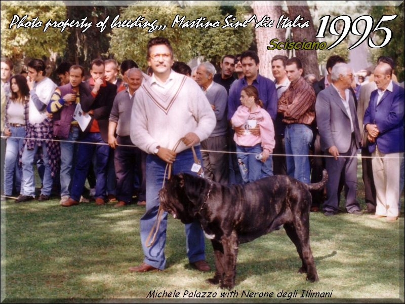 1995 Scisciano Michele Palazzo con Nerone degli Illimani,,