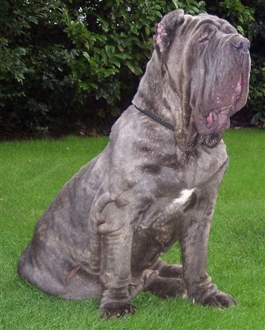 Circe 28 10 2006