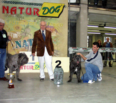 Migliore Razza1