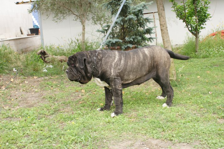 252923_222836721074363_100000441100345_829934_3484975_n