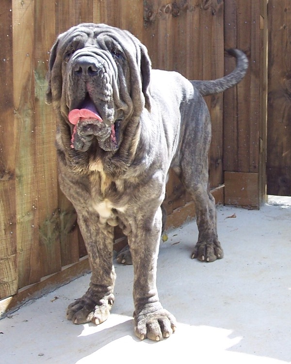 Kash 2007 063