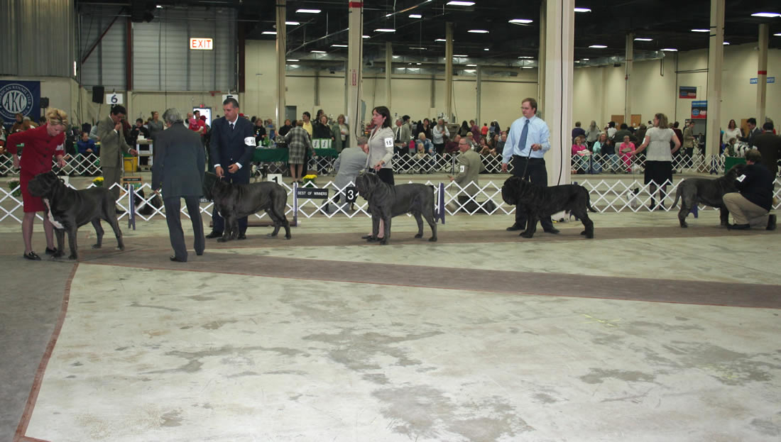 2009Nationals-49