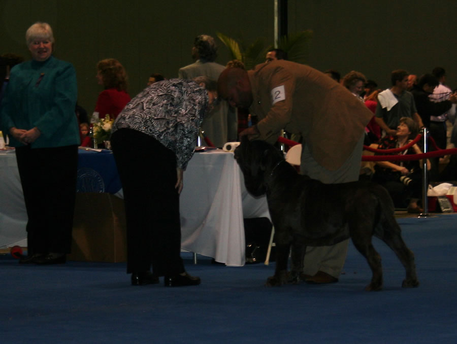 Eukanuba-2