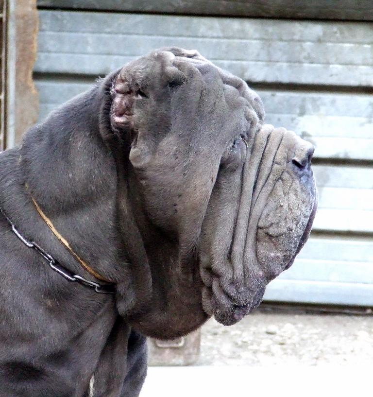 2006_1031Abi10420001