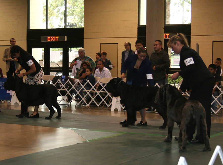 2010-Nationals-30