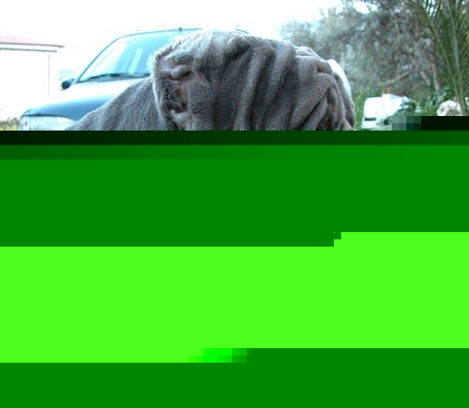 normal_DSCN00521