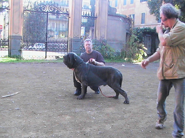 ROME 18 11 2006 164