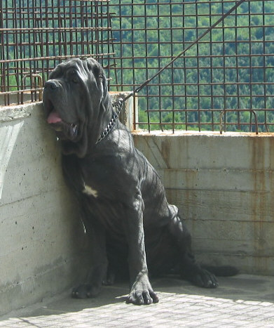 argo2