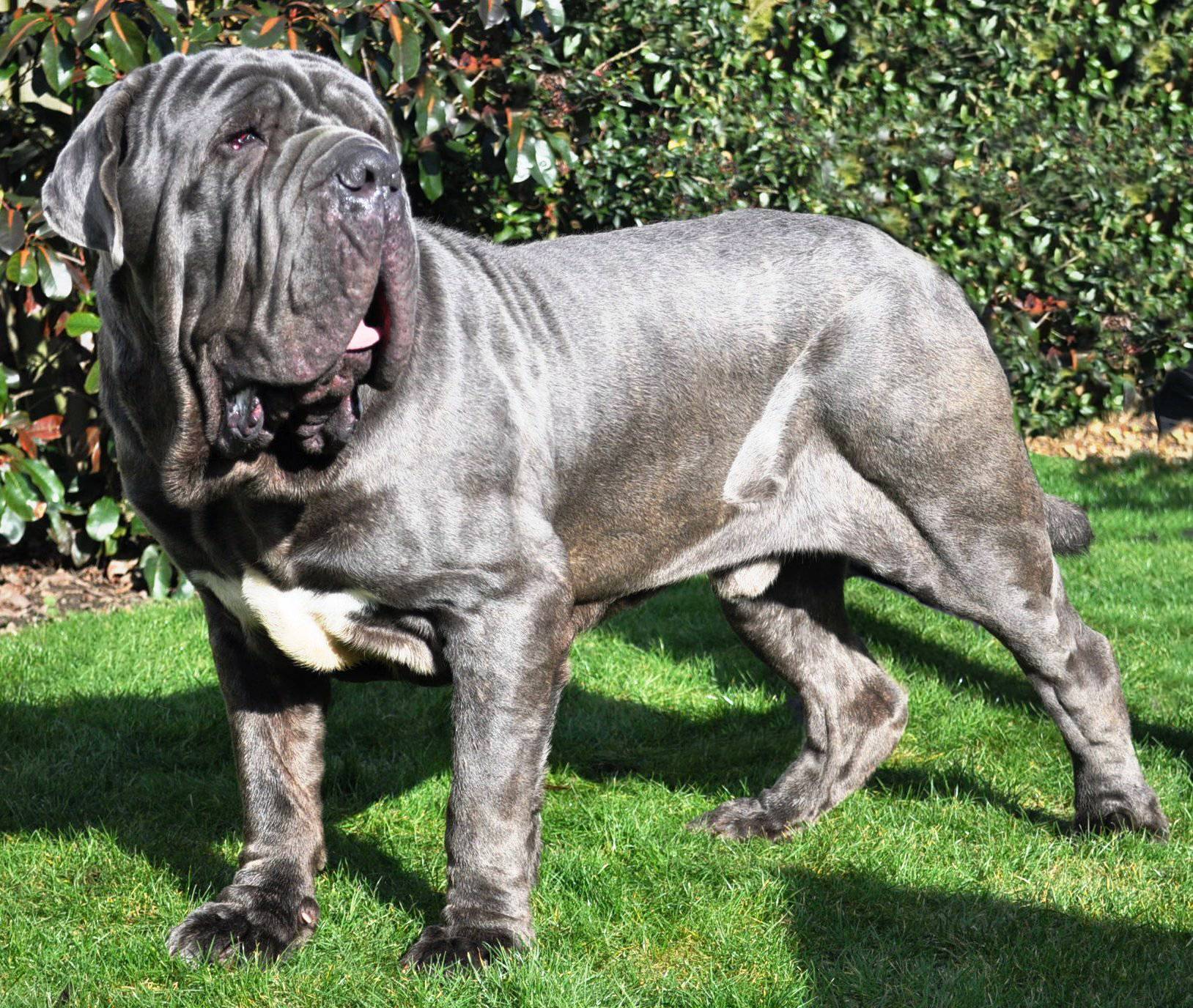 George (14)