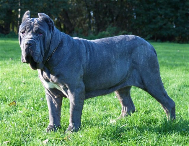 Bella.a 28 10 2006