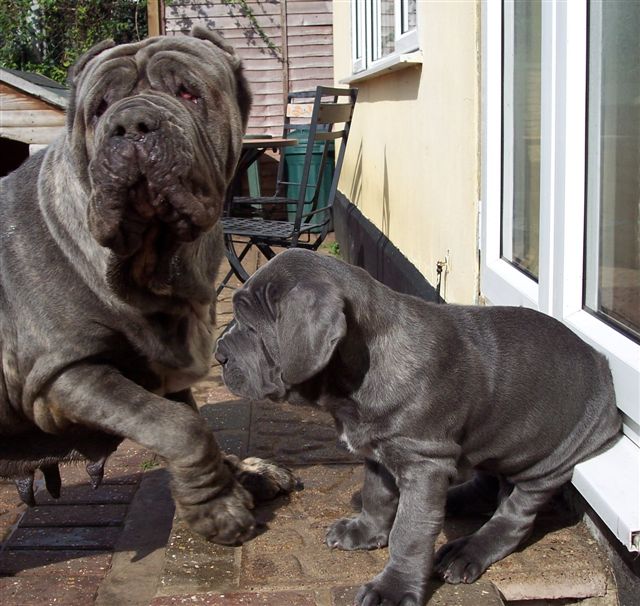 Luciano with Nina (mum)