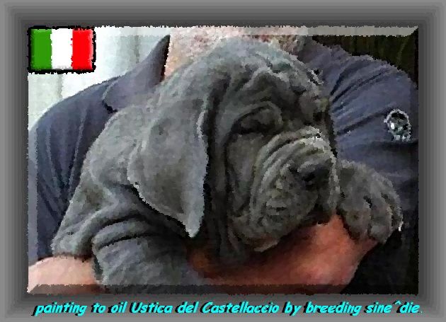 Ustica del Castellaccio daughter of sine^die Sicano 75 painting to oil.. bis