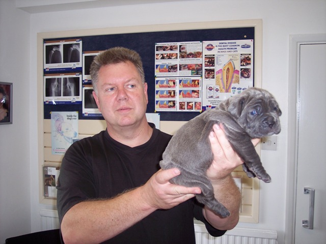 Copy of Dogs 08 06 2007 037