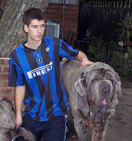dogs 26 5 2007 152