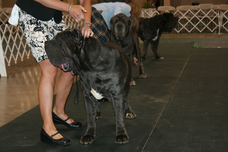 2010-Nationals-19