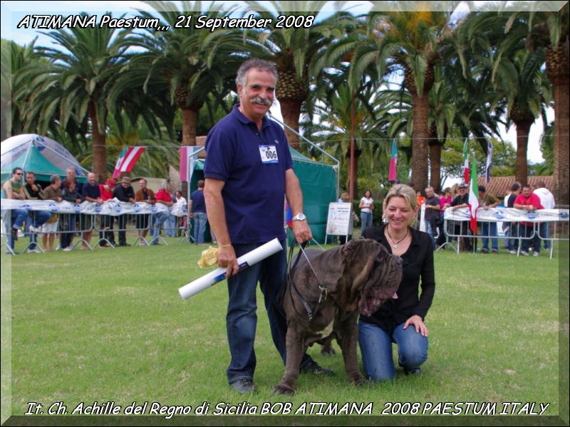 ATIMANA 2008 BOB It. Ch. Achille del Regno di Sicilia