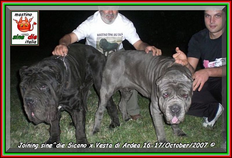 accoppiamenti sine^die Sicano